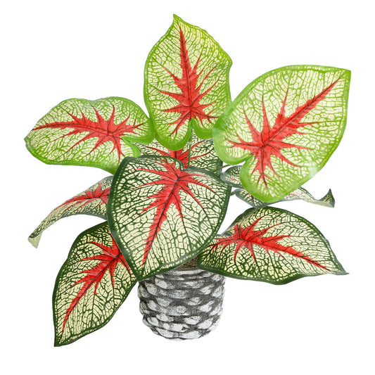 CALADIUM 20891 Τεχνητό Διακοσμητικό Φυτό Τροπικό Φυτό Φ40 x Υ33cm