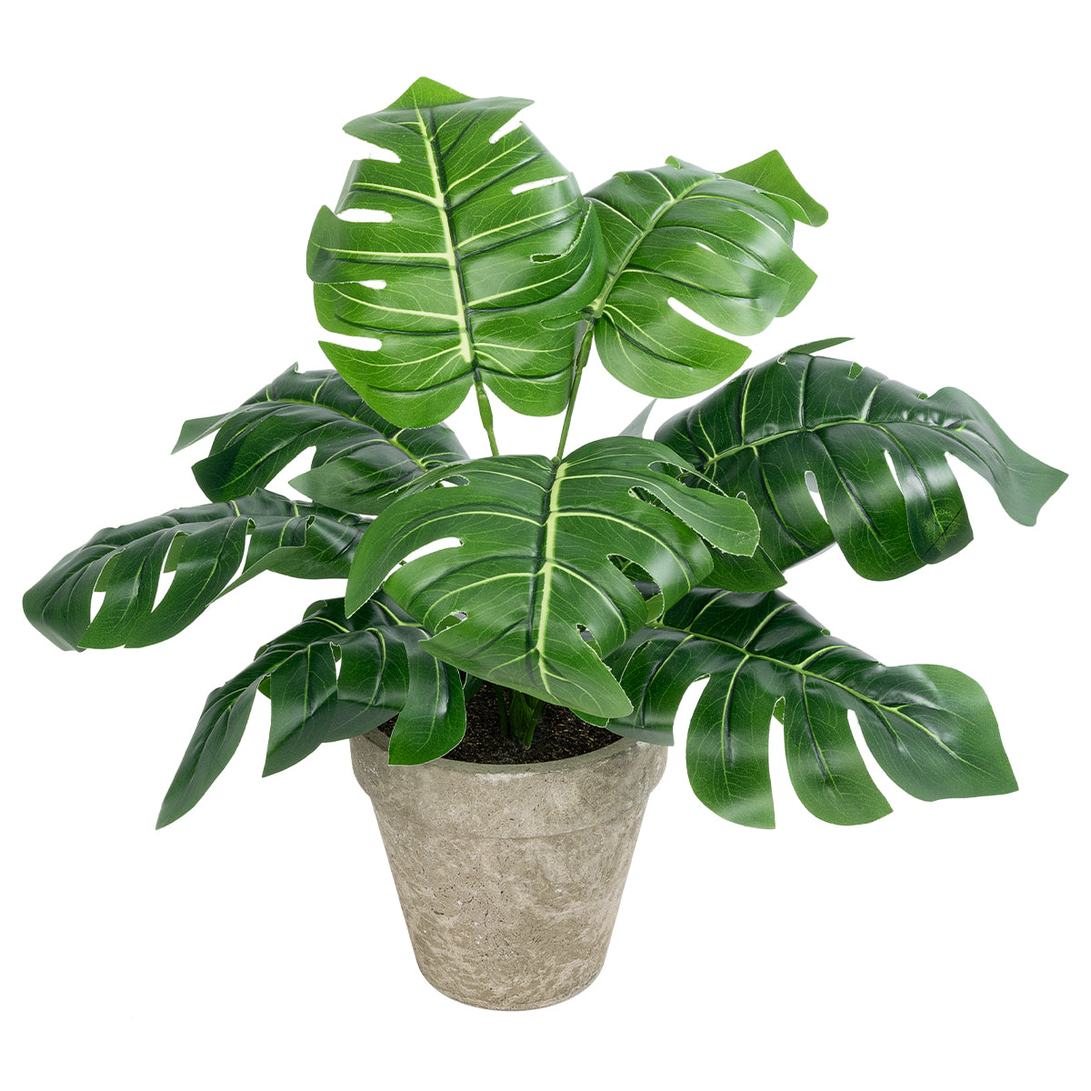 MONSTERA POTTED PLANT 20895 - Διακοσμητικό Φυτό Μονστέρα Φ40 x Υ33cm