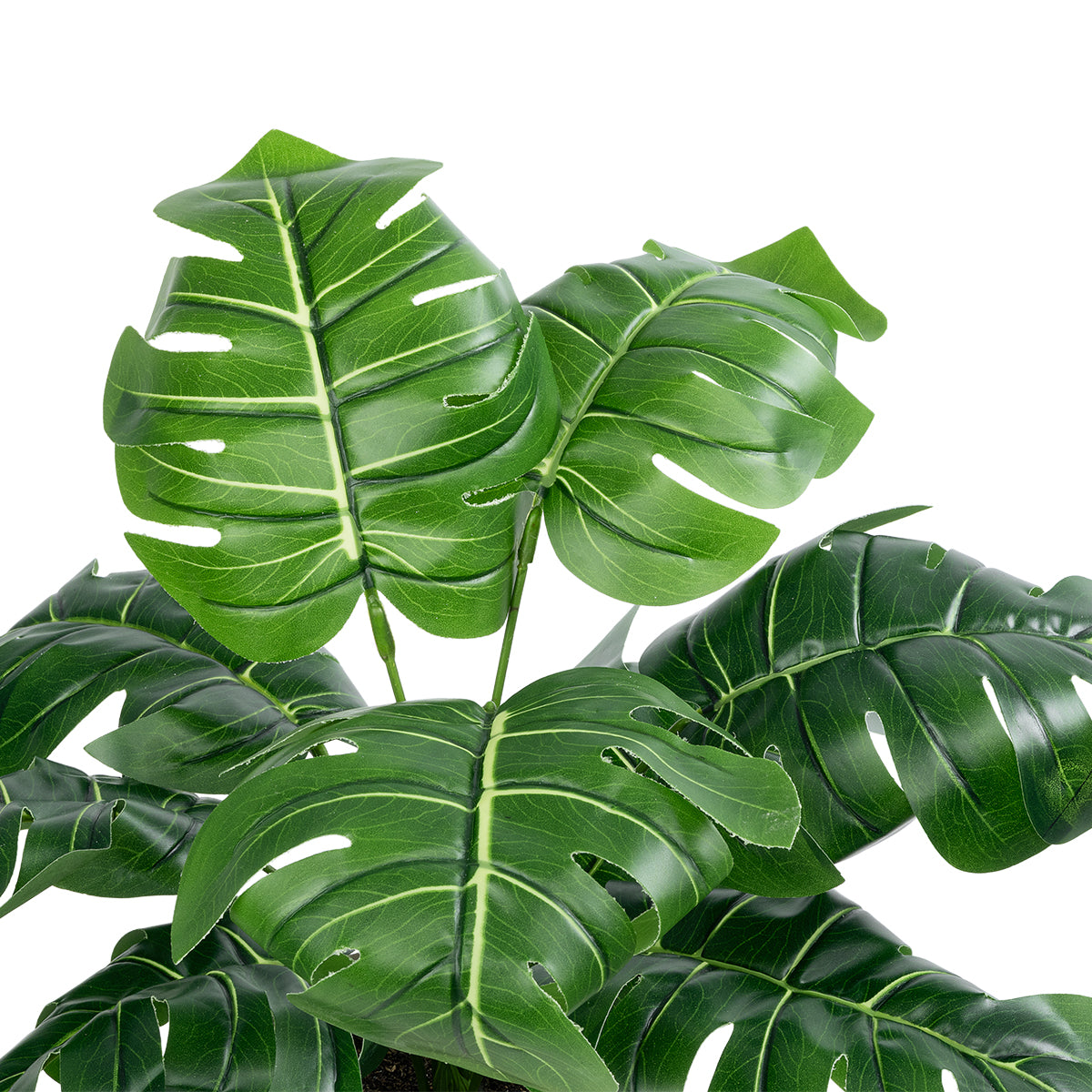 MONSTERA POTTED PLANT 20895 - Διακοσμητικό Φυτό Μονστέρα Φ40 x Υ33cm