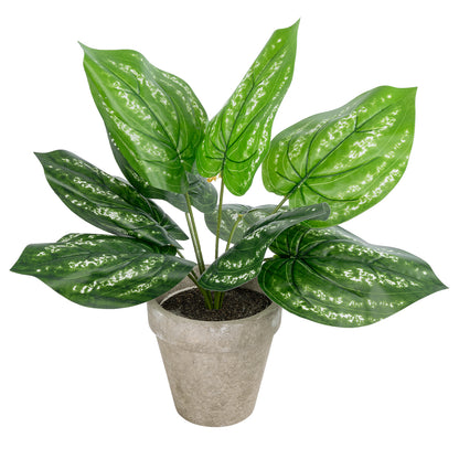 SILVER POTHOS POTTED PLANT 20896 Διακοσμητικό Φυτό Πόθος Φ40 x Υ33cm