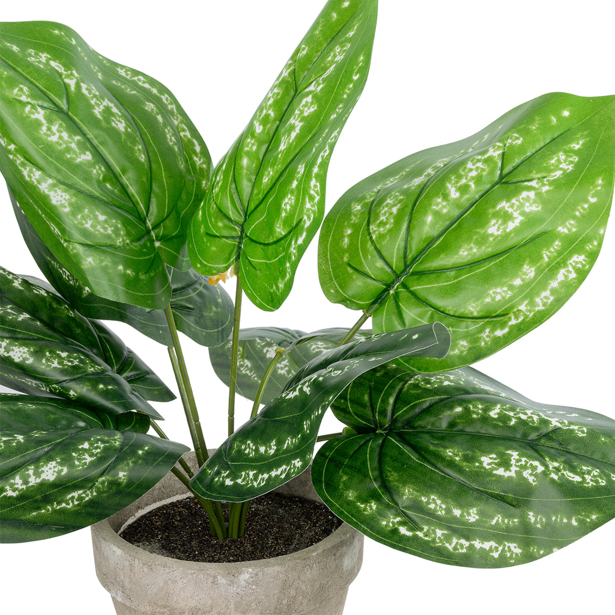 SILVER POTHOS POTTED PLANT 20896 Διακοσμητικό Φυτό Πόθος Φ40 x Υ33cm