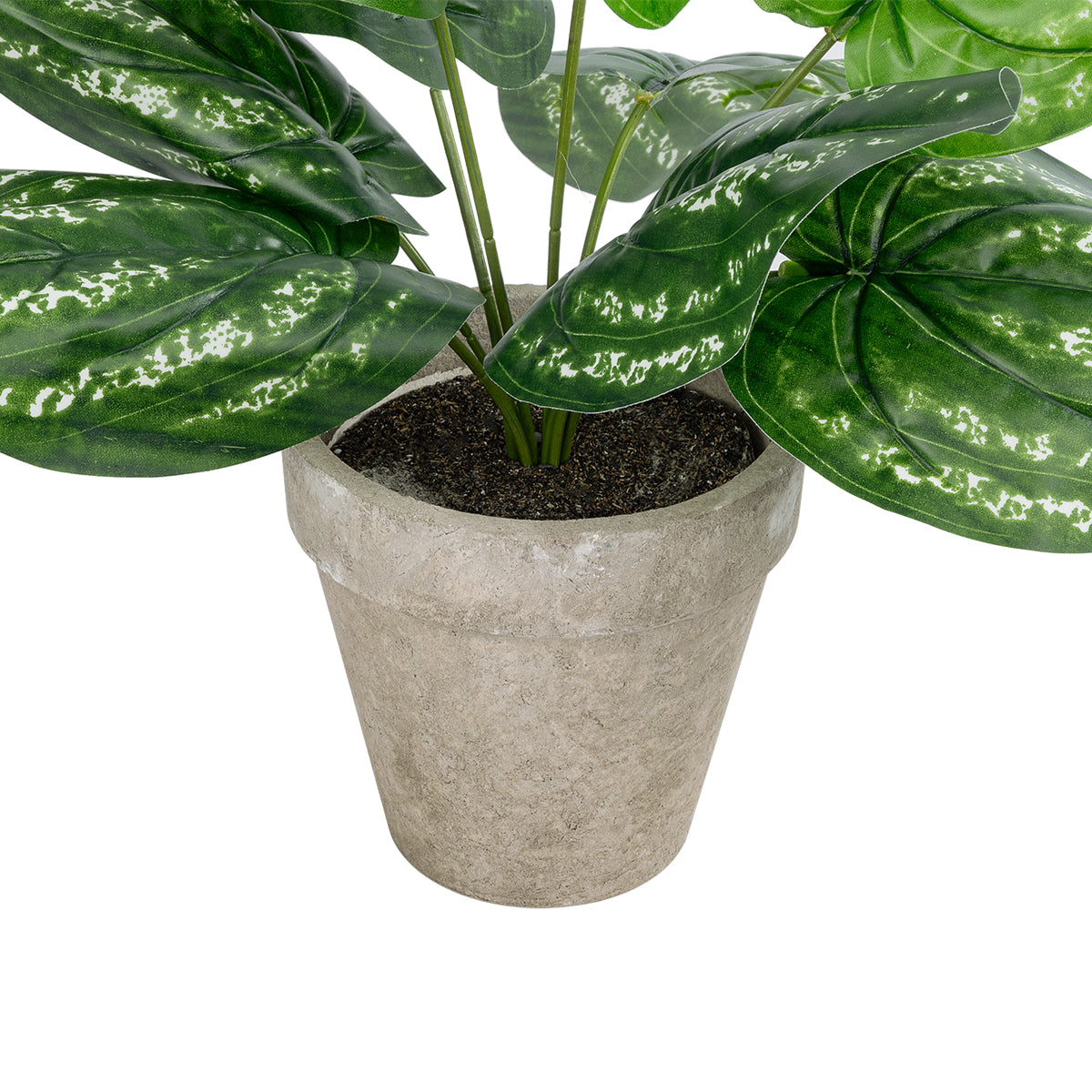 SILVER POTHOS POTTED PLANT 20896 Διακοσμητικό Φυτό Πόθος Φ40 x Υ33cm