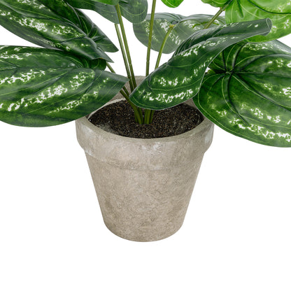 SILVER POTHOS POTTED PLANT 20896 Διακοσμητικό Φυτό Πόθος Φ40 x Υ33cm