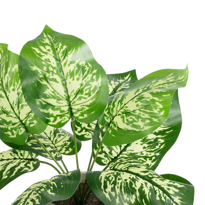 DIEFFENBACHIA POTTED PLANT 20897 Διακοσμητικό Φυτό Διεφενμπάχια Φ40 x Υ33cm