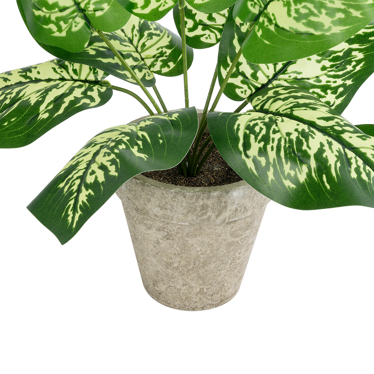 DIEFFENBACHIA POTTED PLANT 20897 Διακοσμητικό Φυτό Διεφενμπάχια Φ40 x Υ33cm