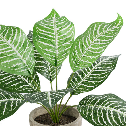 ZEBRA POTTED PLANT 20898 Διακοσμητικό Φυτό Ζέμπρα Φ40 x Υ33cm