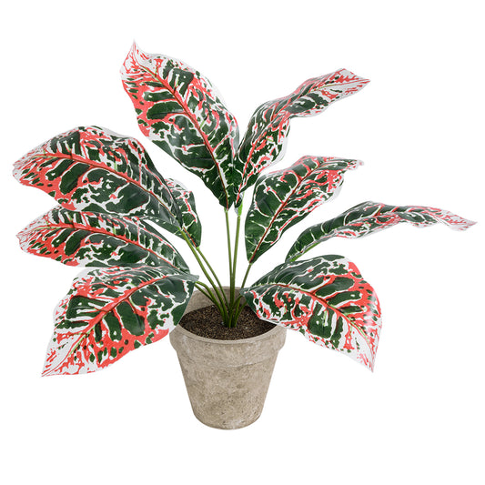 RED AGLAONEMA POTTED PLANT 20901 Διακοσμητικό Φυτό Κόκκινο Αγλαόνημα Φ40 x Υ33cm