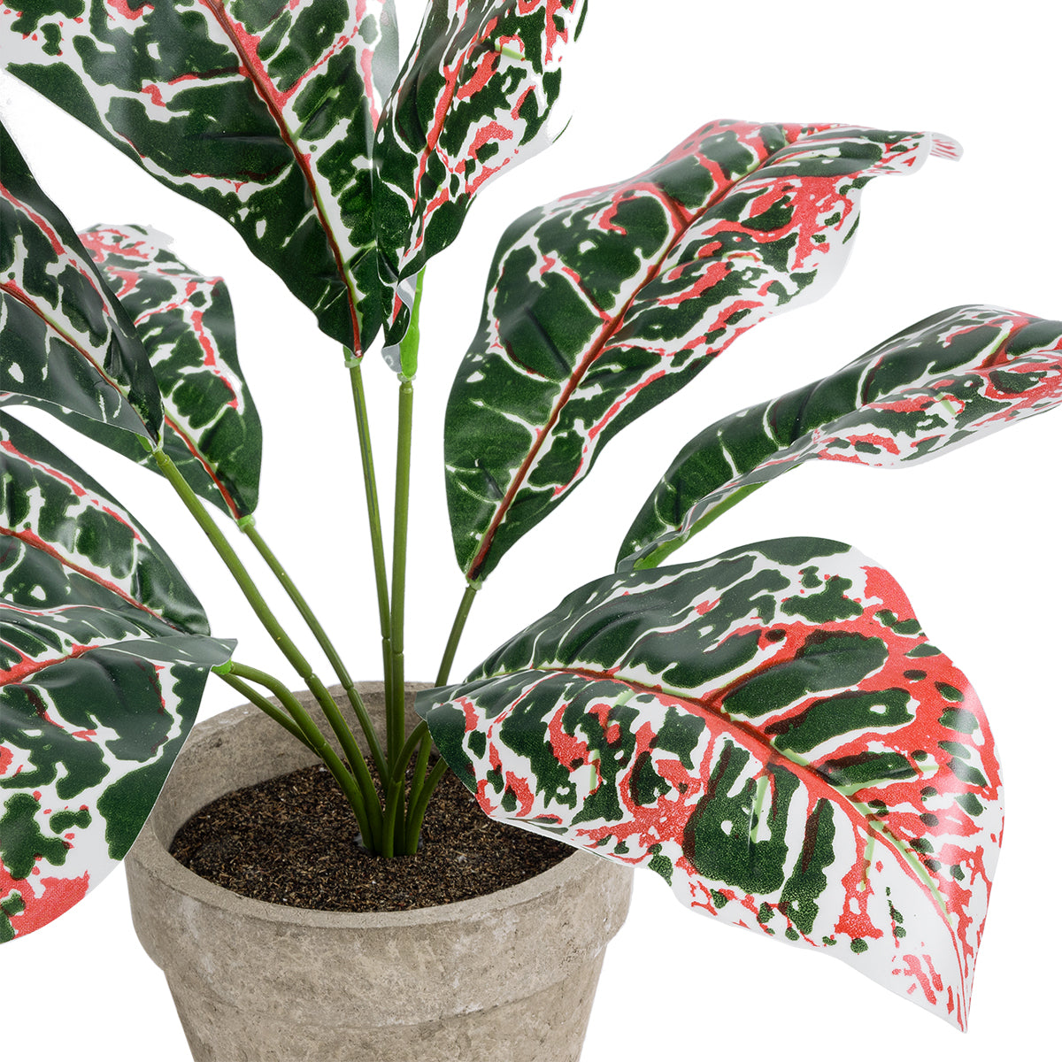 RED AGLAONEMA POTTED PLANT 20901 Διακοσμητικό Φυτό Κόκκινο Αγλαόνημα Φ40 x Υ33cm