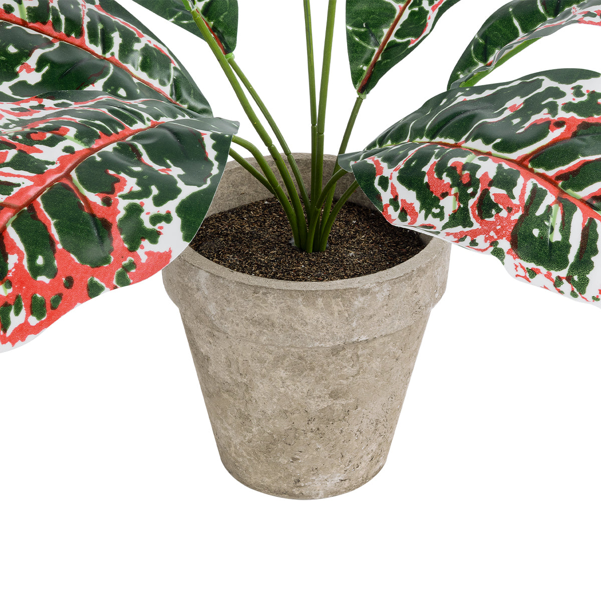 RED AGLAONEMA POTTED PLANT 20901 Διακοσμητικό Φυτό Κόκκινο Αγλαόνημα Φ40 x Υ33cm