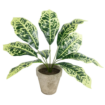 YELLOW AGLAONEMA POTTED PLANT 20902 Διακοσμητικό Φυτό Κίτρινο Αγλαόνημα Φ40 x Υ33cm