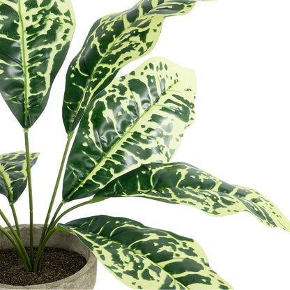 YELLOW AGLAONEMA POTTED PLANT 20902 Διακοσμητικό Φυτό Κίτρινο Αγλαόνημα Φ40 x Υ33cm