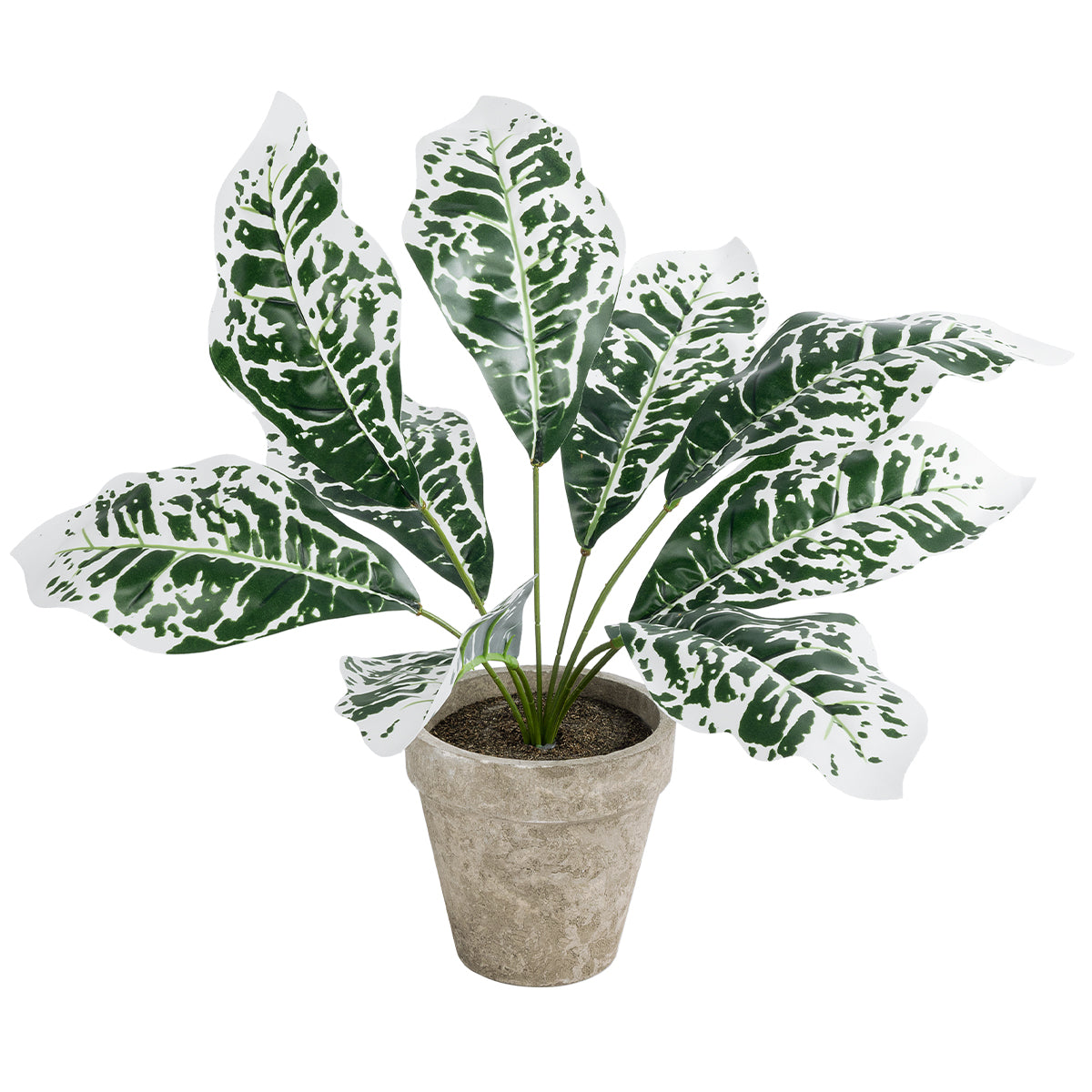 WHITE AGLAONEMA POTTED PLANT 20903 Διακοσμητικό Φυτό Λευκό Αγλαόνημα Φ40 x Υ33cm