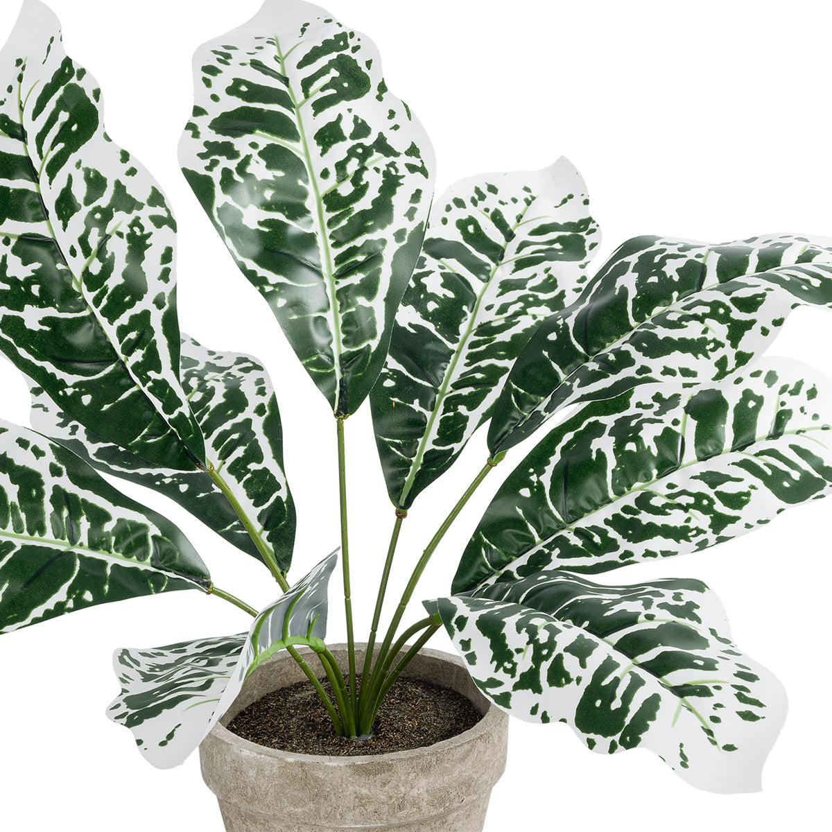 WHITE AGLAONEMA POTTED PLANT 20903 Διακοσμητικό Φυτό Λευκό Αγλαόνημα Φ40 x Υ33cm