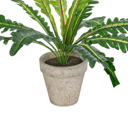 ASPLENIUM POTTED PLANT 20904 Διακοσμητικό Φυτό Aslenium Φ40 x Υ33cm