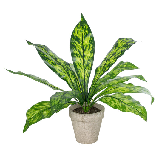 SPATHIPHYLLUM POTTED PLANT 20905 Διακοσμητικό Φυτό Σπαθίφυλλο Φ40 x Υ33cm