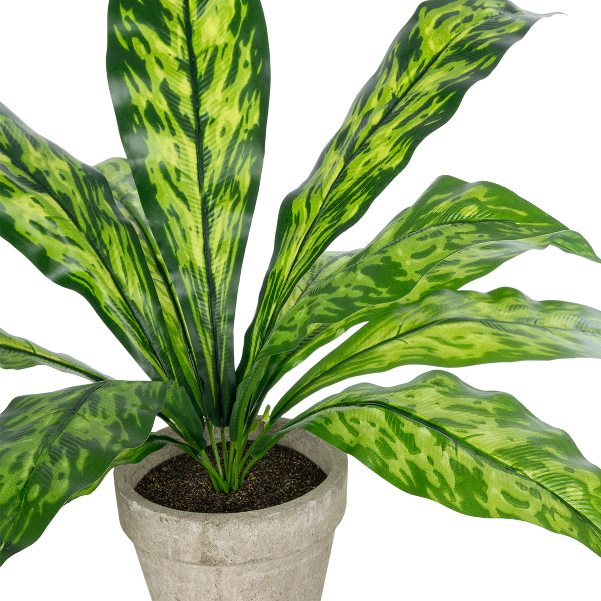 SPATHIPHYLLUM POTTED PLANT 20905 Διακοσμητικό Φυτό Σπαθίφυλλο Φ40 x Υ33cm