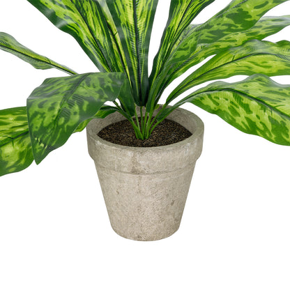 SPATHIPHYLLUM POTTED PLANT 20905 Διακοσμητικό Φυτό Σπαθίφυλλο Φ40 x Υ33cm