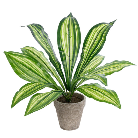 DRACAENA POTTED PLANT 20907 Διακοσμητικό Φυτό Δράκενα Φ40 x Υ33cm