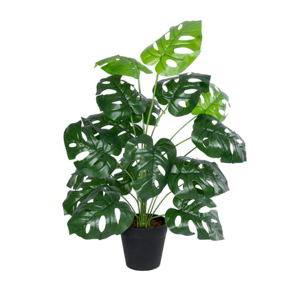 MONSTERA PLANT 20909 Διακοσμητικό Φυτό Μονστέρα Φ50 x Υ75cm