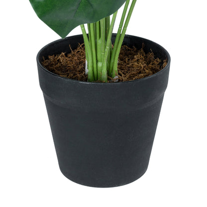 MONSTERA PLANT 20909 Διακοσμητικό Φυτό Μονστέρα Φ50 x Υ75cm