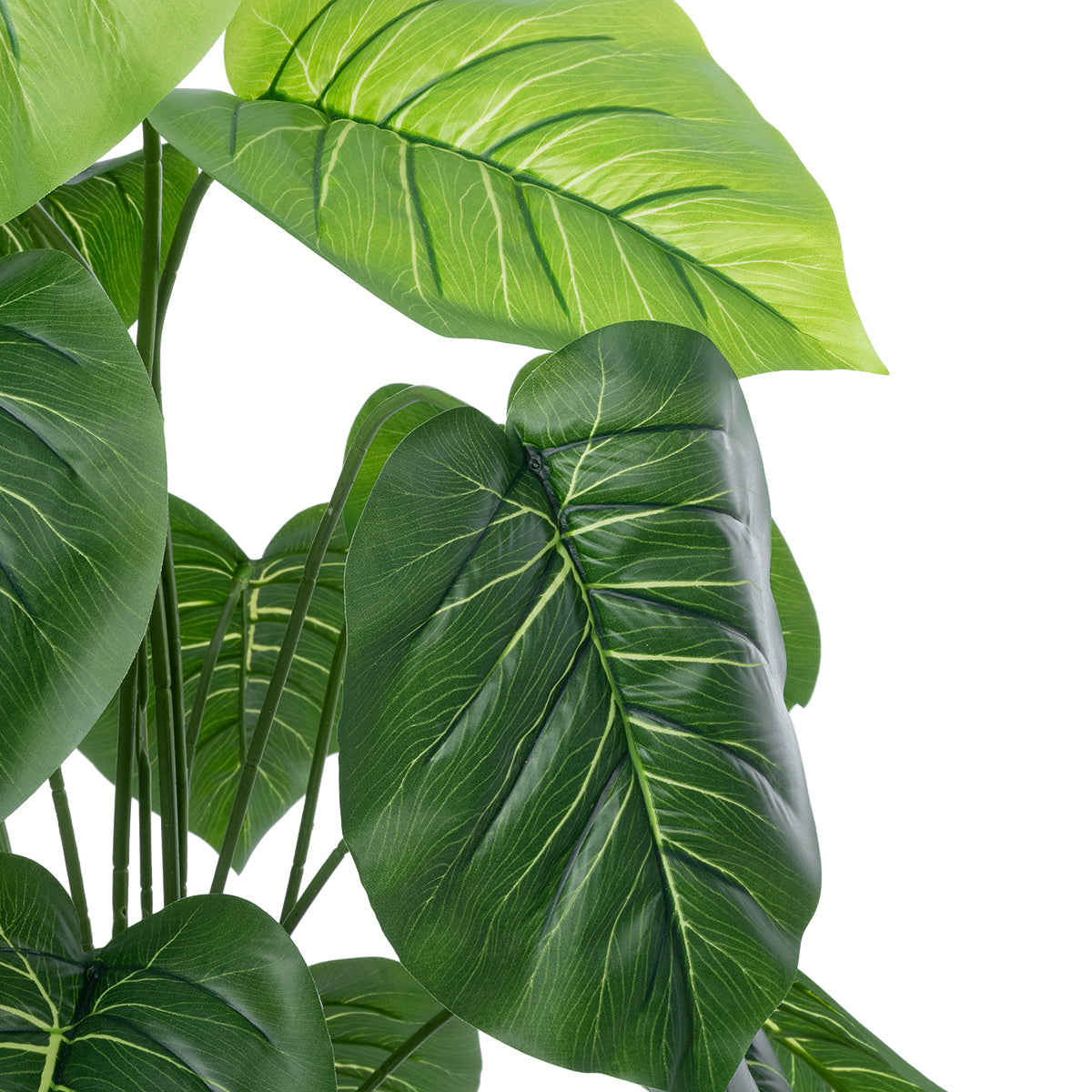 PHILODENDRON PLANT 20910 Διακοσμητικό Φυτό Φυλλόδεντρο Φ70 x Υ75cm