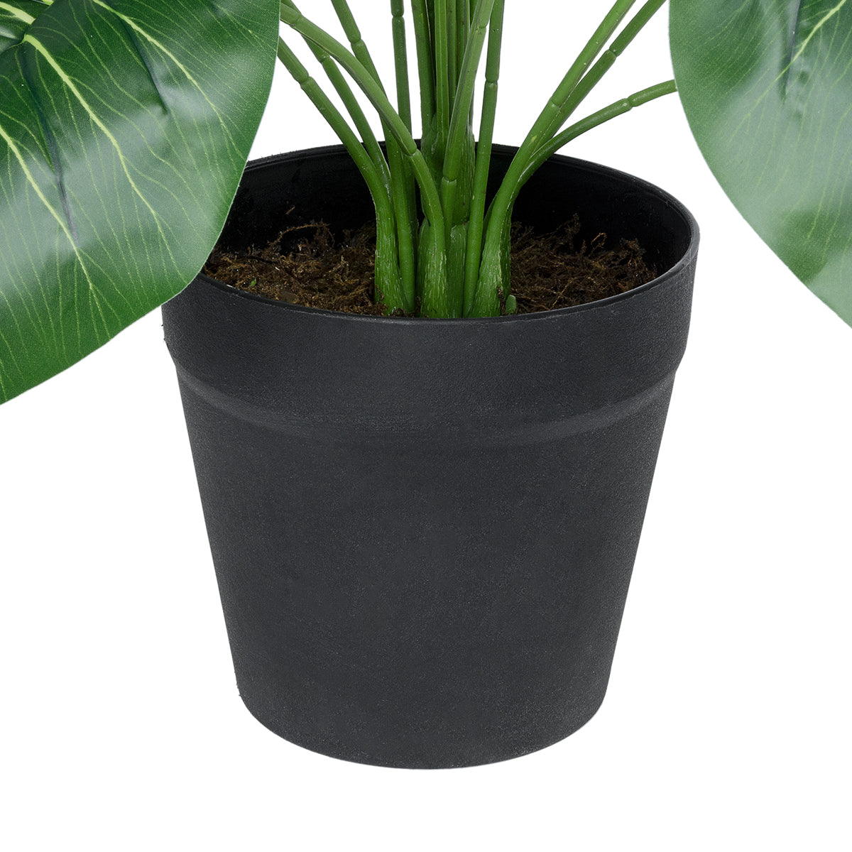 PHILODENDRON PLANT 20910 Διακοσμητικό Φυτό Φυλλόδεντρο Φ70 x Υ75cm