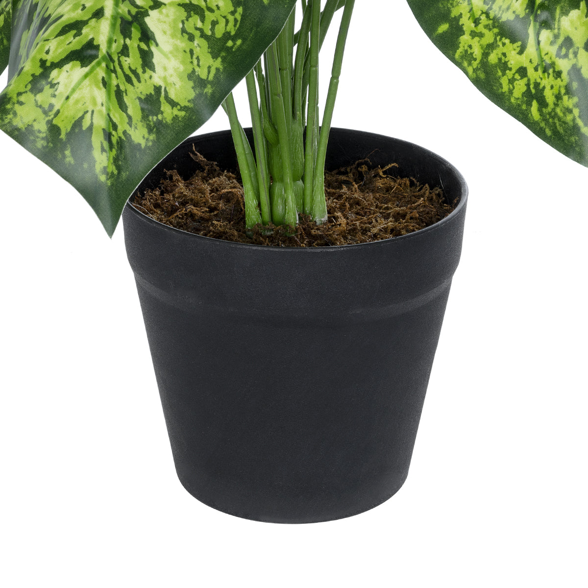 DIEFFENBACHIA PLANT 20914 Διακοσμητικό Φυτό Διφενμπάχια Φ58 x Υ75cm