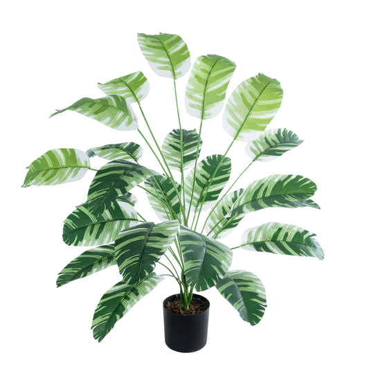 BANANA ZEBRA PLANT 20918 Διακοσμητικό Φυτό Μπανανιά Ζέβρα Φ83 x Υ80cm