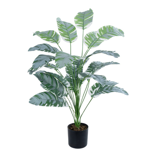 BANANA ZEBRA PLANT 20919 Διακοσμητικό Φυτό Μπανανιά Ζέβρα Φ78 x Υ80cm