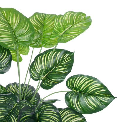 CALATHEA PLANT 20922 Διακοσμητικό Φυτό Καλαθέα Φ70 x Υ80cm