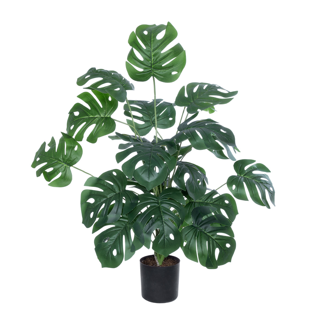 MONSTERA PLANT 20923 Διακοσμητικό Φυτό Μονστέρα Φ80 x Υ80cm