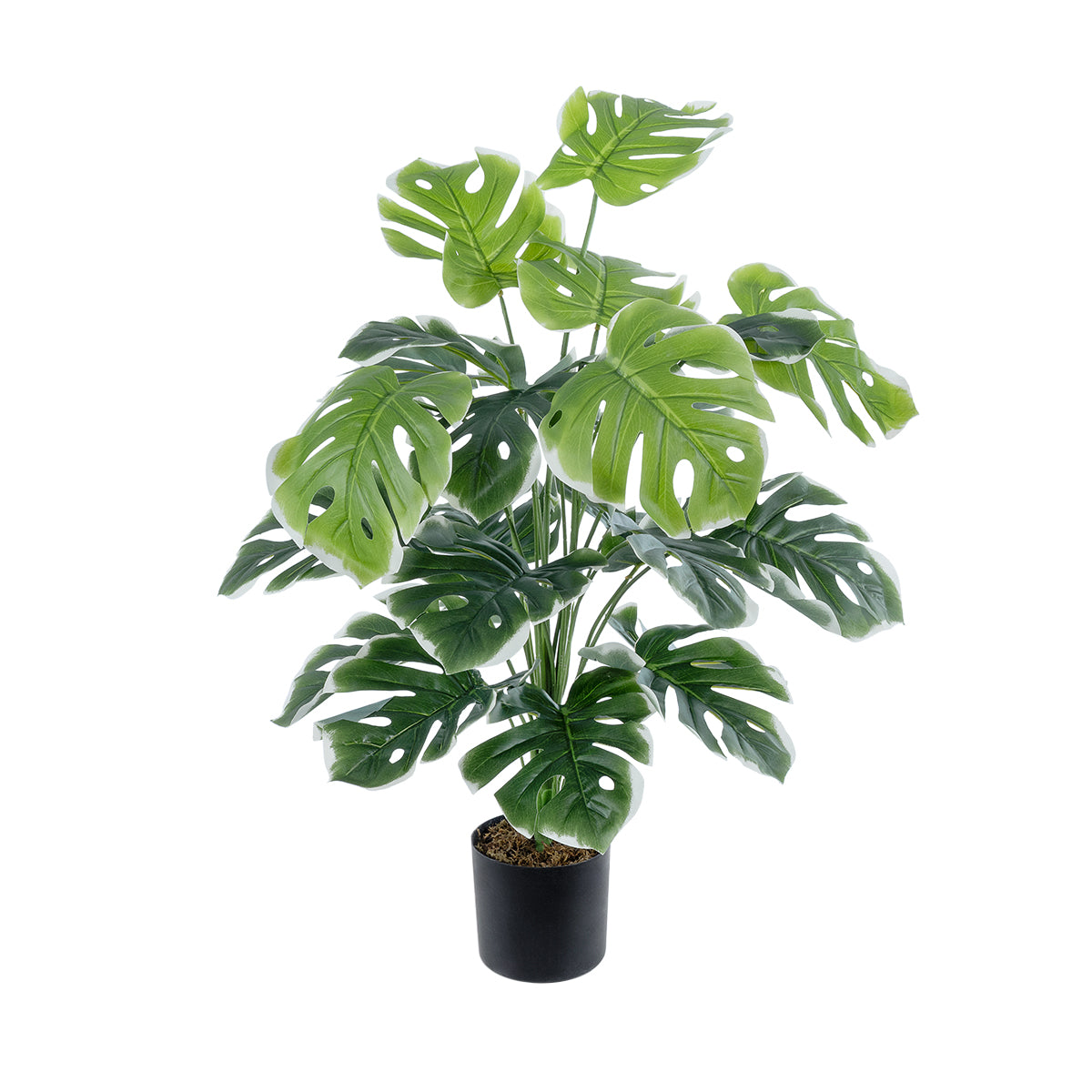 MONSTERA PLANT 20924 Διακοσμητικό Φυτό Μονστέρα Φ90 x Υ80cm