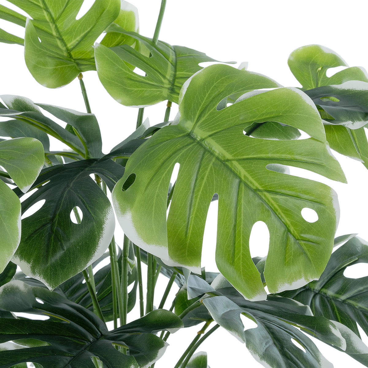 MONSTERA PLANT 20924 Διακοσμητικό Φυτό Μονστέρα Φ90 x Υ80cm