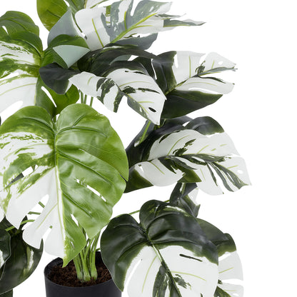 ALBINO MONSTERA PLANT 20925 Διακοσμητικό Φυτό Λευκή Μονστέρα Φ70 x Υ75cm