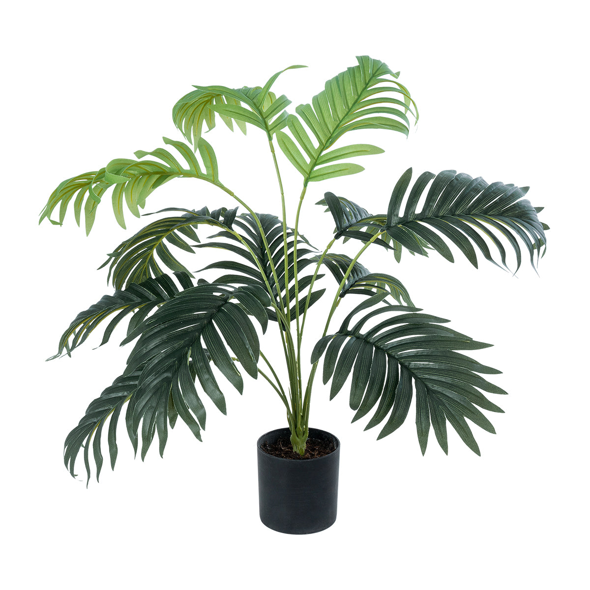 ARECA PALM PLANT 20926 Διακοσμητικό Φυτό Αρέκα Φ60 x Υ55cm