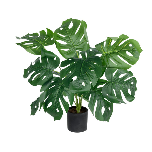 MONSTERA PLANT 20934 Διακοσμητικό Φυτό Μονστέρα Φ62 x Υ55cm