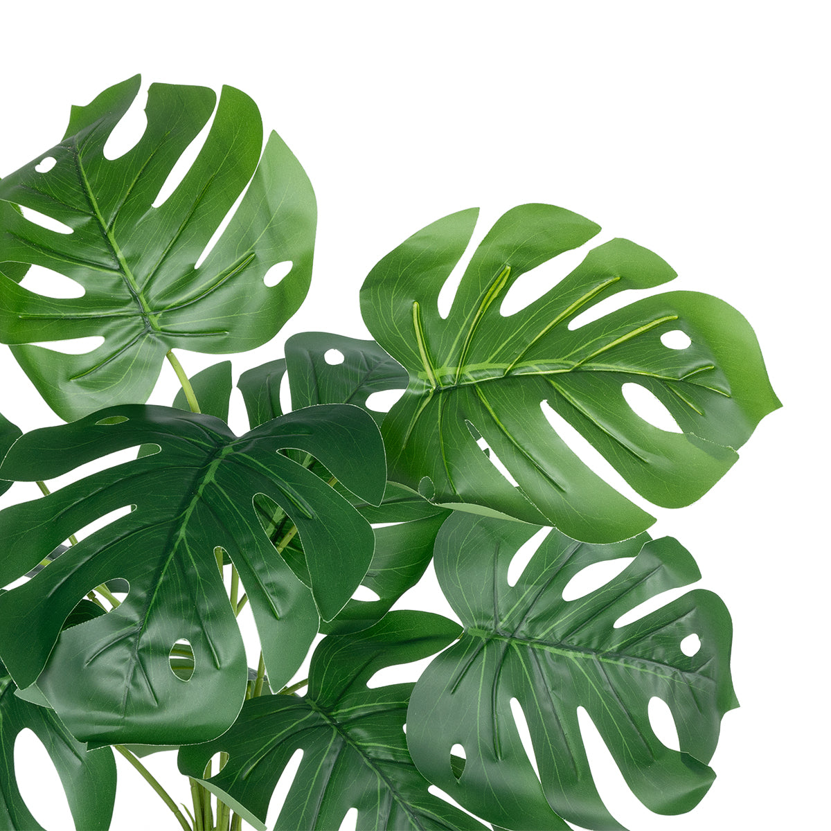 MONSTERA PLANT 20934 Διακοσμητικό Φυτό Μονστέρα Φ62 x Υ55cm