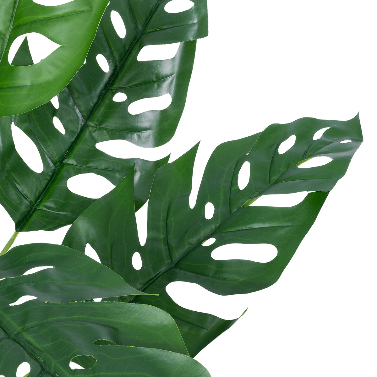 MONSTERA PLANT 20937 Διακοσμητικό Φυτό Μονστέρα Φ90 x Υ80cm