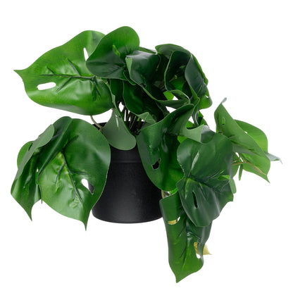 MONSTERA PLANT 20945 - Διακοσμητικό Φυτό Μονστέρα Φ40 x Υ33cm