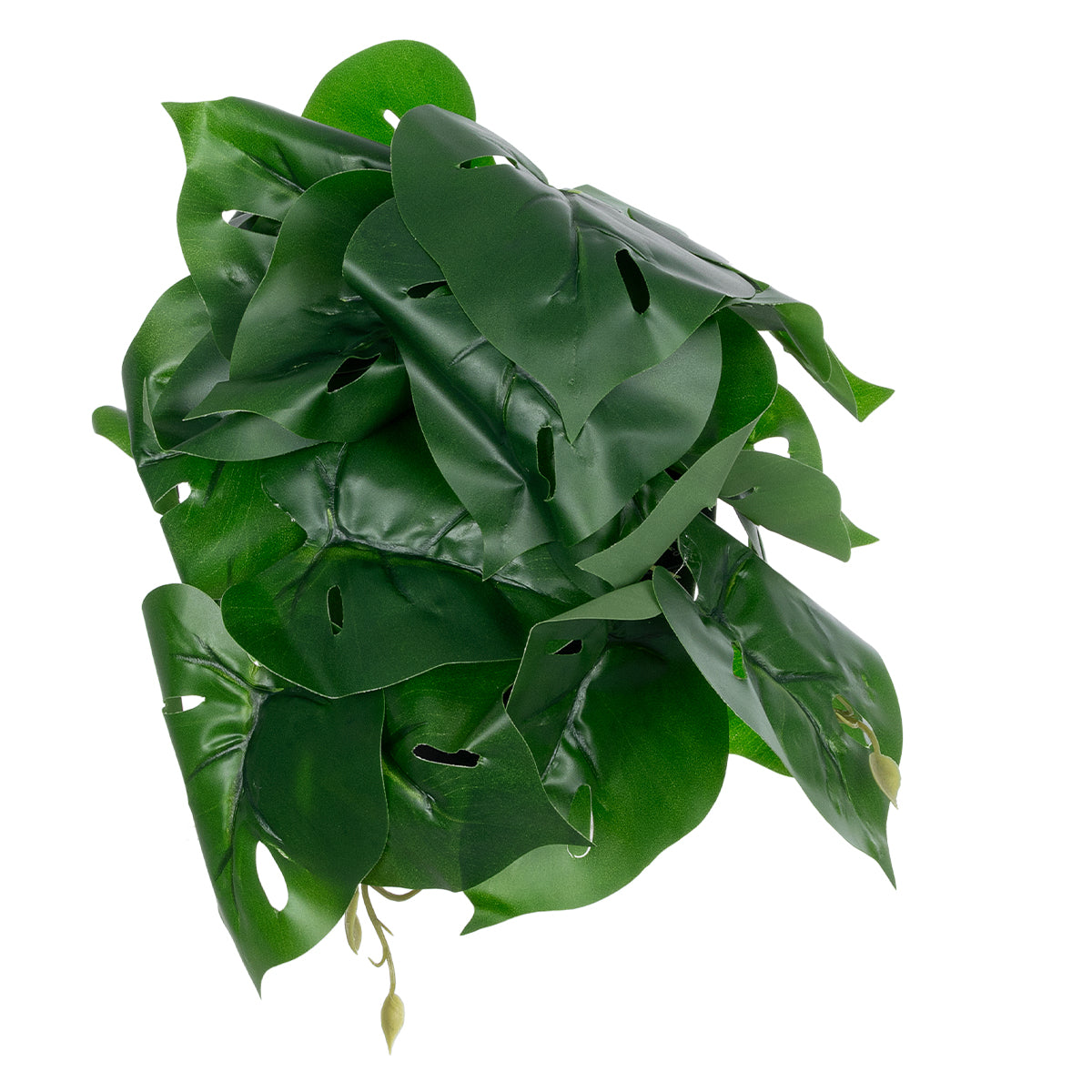 MONSTERA PLANT 20945 - Διακοσμητικό Φυτό Μονστέρα Φ40 x Υ33cm