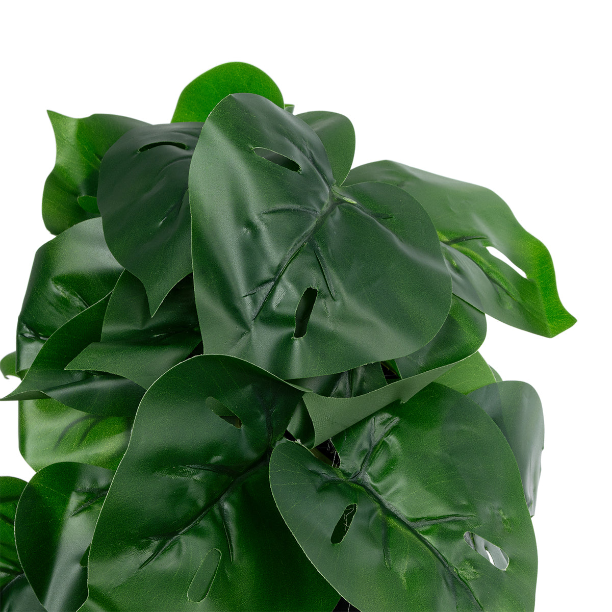 MONSTERA PLANT 20945 - Διακοσμητικό Φυτό Μονστέρα Φ40 x Υ33cm