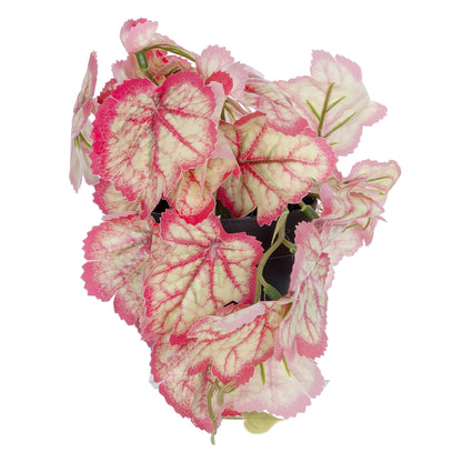 RED BEGONIA PLANT 20948 Διακοσμητικό Φυτό Κόκκινη Μπιγόνια Φ23 x Υ16cm