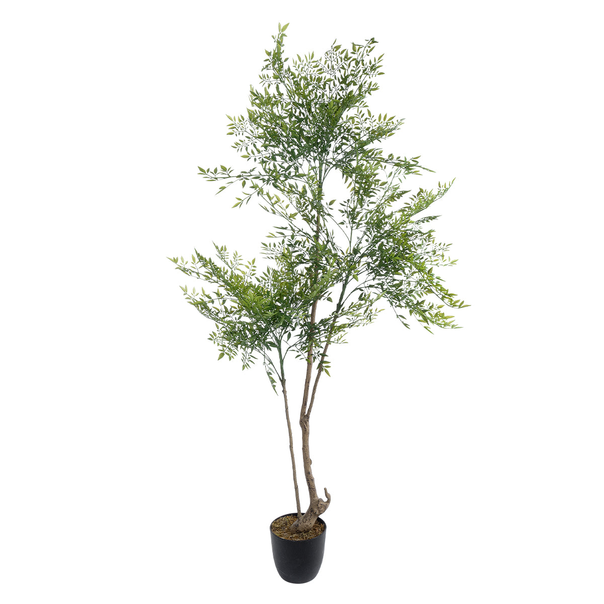 GREEN NANDINA PLANT 20965 Διακοσμητικό Φυτό Πράσινη Ναντίνα Φ66 x Υ150cm