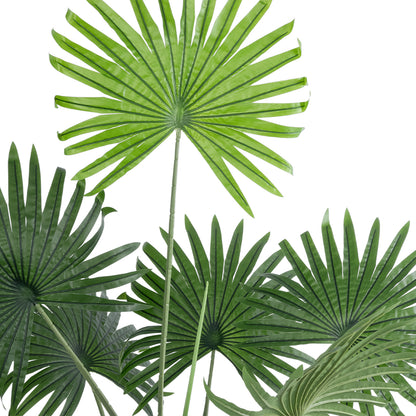 SERENOA PALM PLANT 20971 Διακοσμητικό Φυτό Φοίνικα Σερενόα Φ60 x Υ140cm