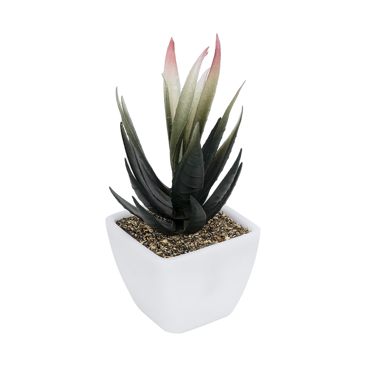 SUCCULENT ALOE POTTED PLANT 20974 Διακοσμητικό Φυτό Αλόης Φ7 x Υ14cm