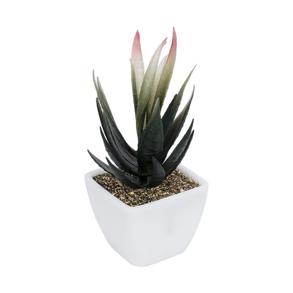 SUCCULENT ALOE POTTED PLANT 20974 Διακοσμητικό Φυτό Αλόης Φ7 x Υ14cm