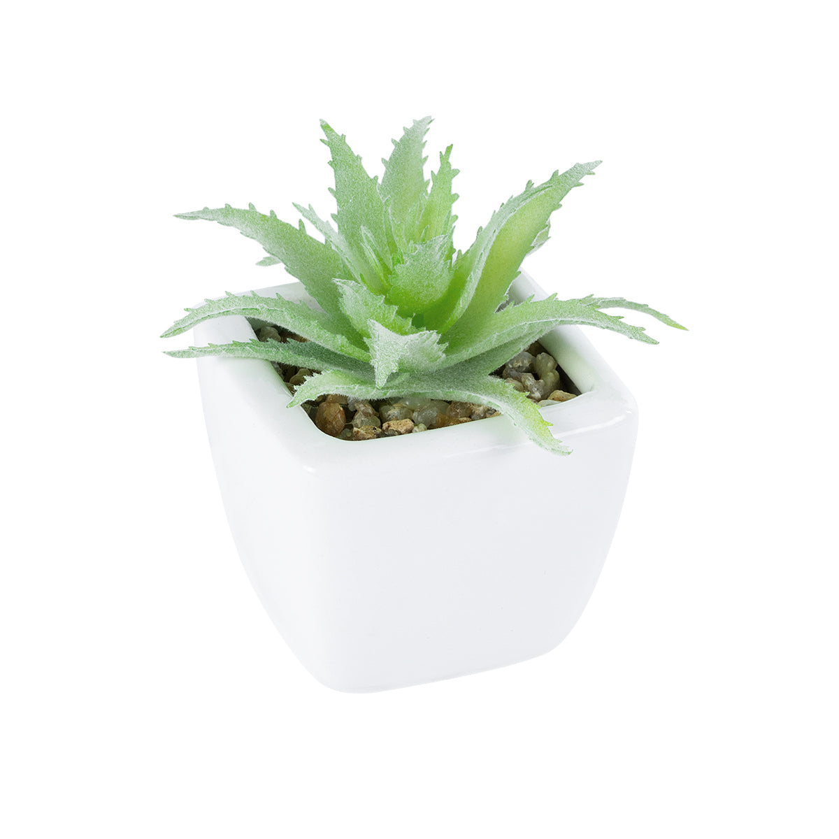 SUCCULENT ALOE LOTUS PLANT 20976 Διακοσμητικό Φυτό Παχύφυτο Λωτός Αλόης Φ8 x Υ8cm