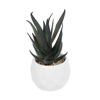 SUCCULENT ALOE POTTED PLANT 20978 Διακοσμητικό Φυτό Αλόης Φ7 x Υ14cm