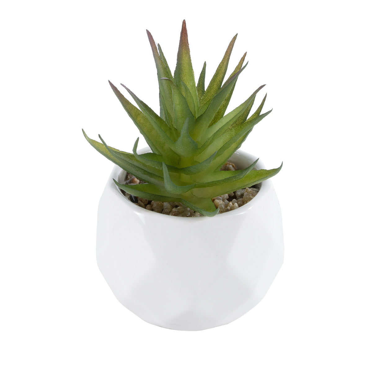 SUCCULENT ALOE 20982 Διακοσμητικό Φυτό Παχύφυτο Αλόη Υ11cm