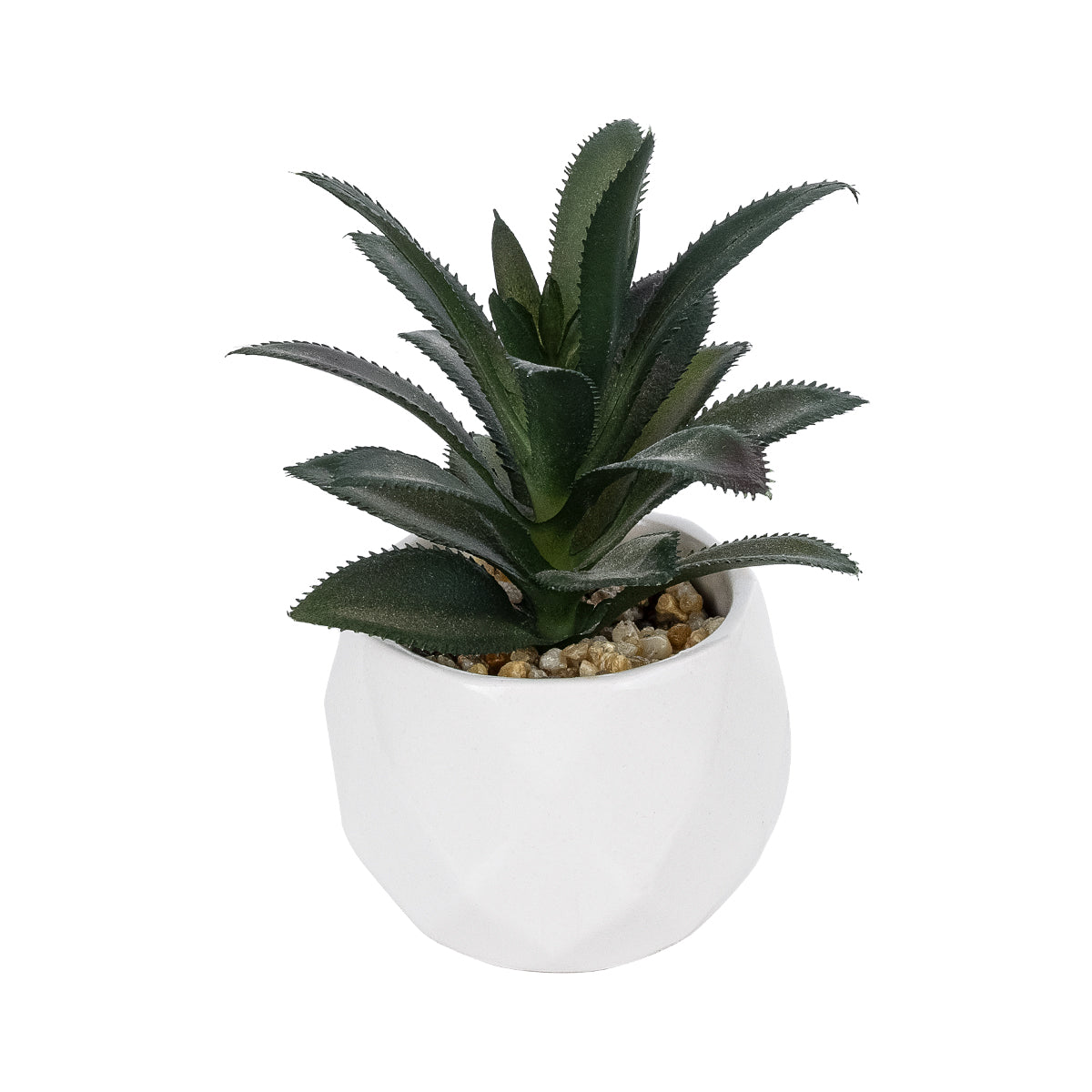 SUCCULENT ALOE POTTED PLANT 20983 Διακοσμητικό Φυτό Αλόης Φ9 x Υ12cm